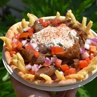 Gyro Platter