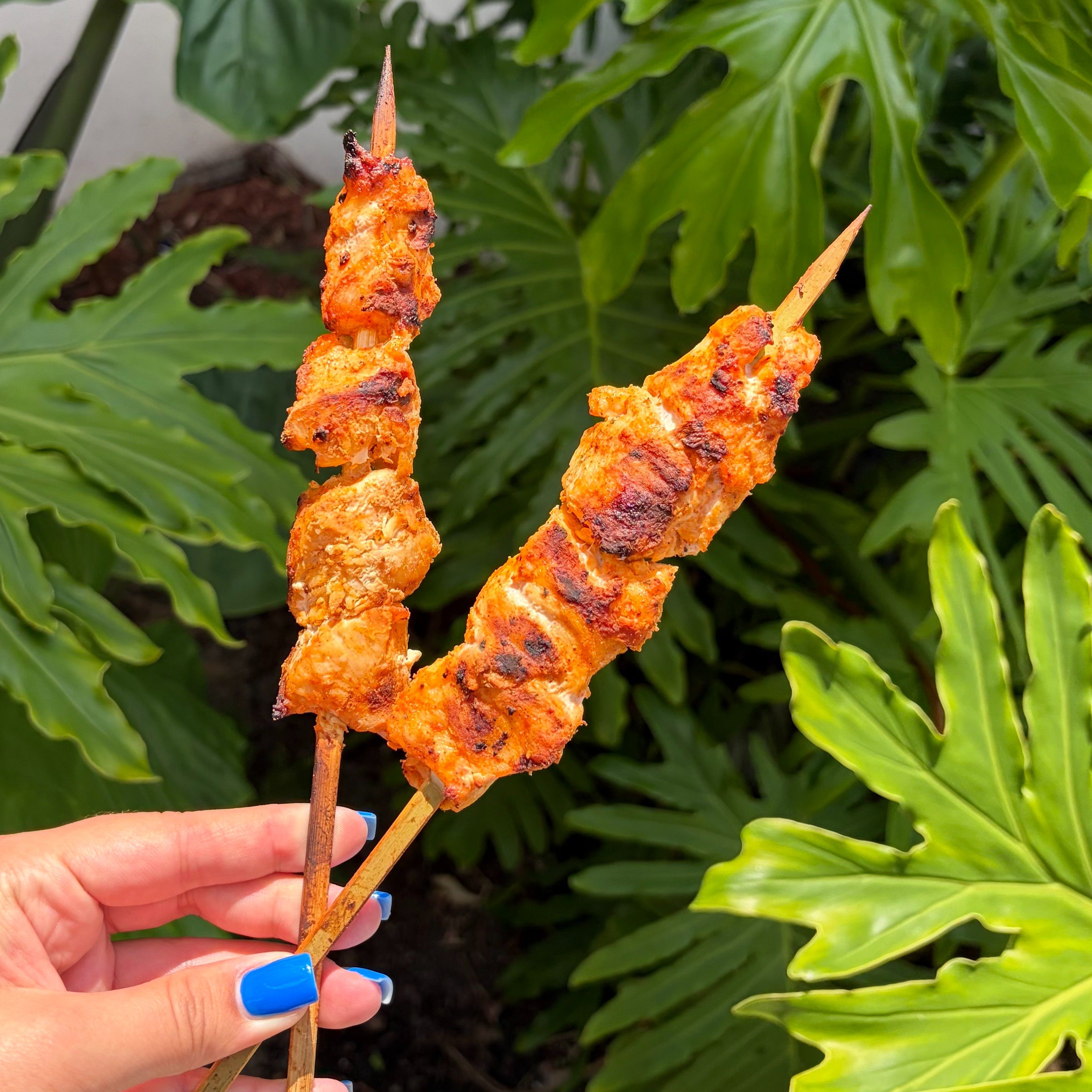 Oliv Grilled Chicken Kebab.
